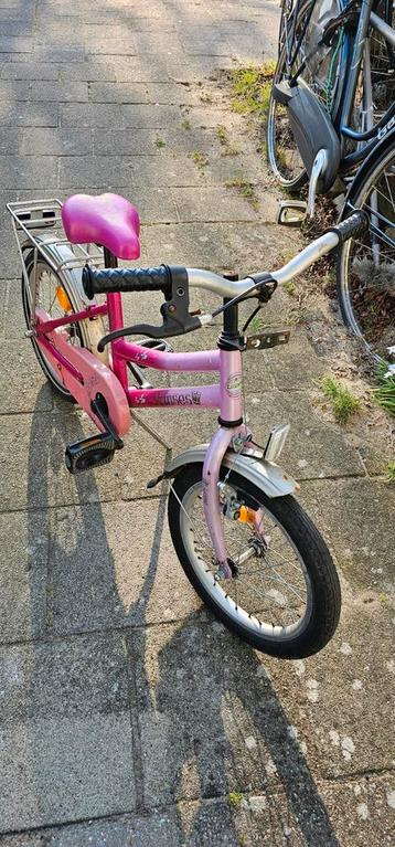 Meisjes fiets