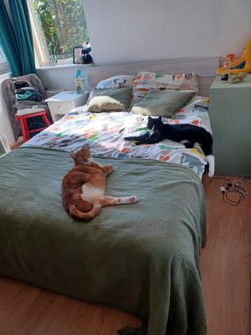 Bedframe 2-persoonsbed