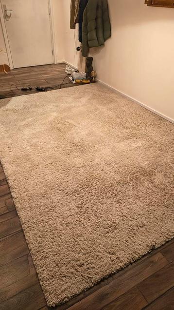 Beige tapijt 300x203cm - op te frissen