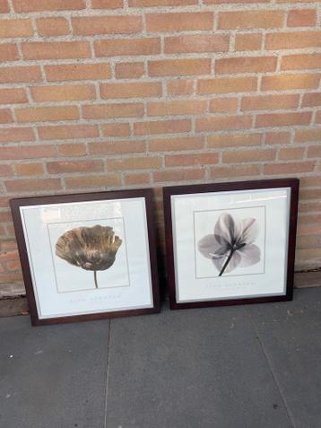 Twee ingelijste bloemenprints van Alan Newnham