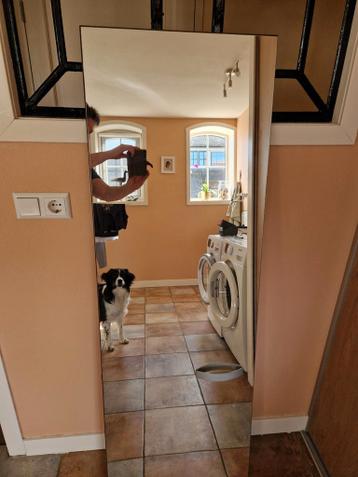 Grote spiegel voor deur of muur - 156x50 cm