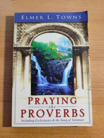 Praying the Proverbs - Elmer L. Towns (Nieuwstaat)