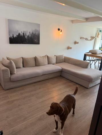 FREE SOFA SEE DESCRIPTION