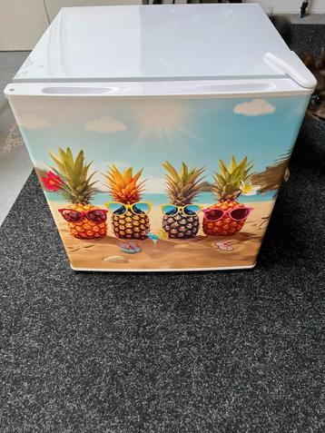 GOED LEZEN!!!Mini Koelkast met Ananas Design
