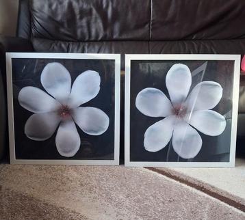 Twee lijsten met bloemen van IKEA