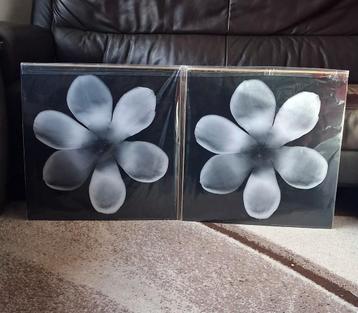 Ikea print bloem 50x50cm