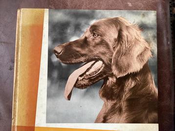 De setter Vintage Hondenboek met Prachtige Illustraties