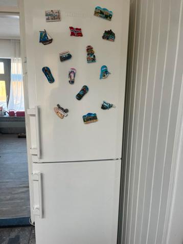 Koelvriescombinatie Liebherr