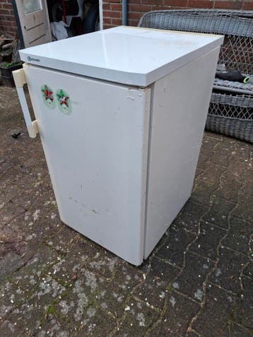 Bauknegt koelkast gratis af te halen