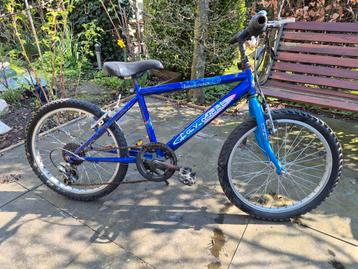 Fiets 20 inch gratis