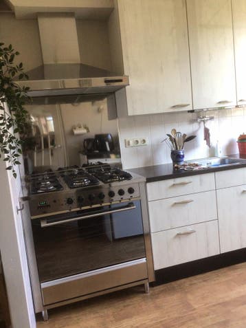 RVS gasfornuis met oven + afzuigkap.
