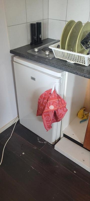 Gratis koelkast (kapotte deurhouders)