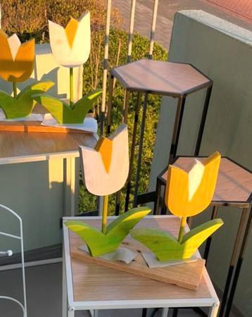 Gratis  houdten tulpen