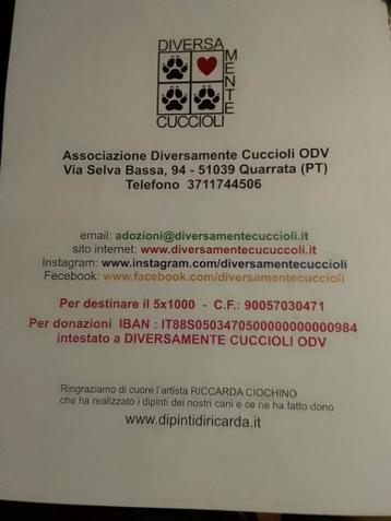 Spulletje gezocht voor een goed doel. Gratis