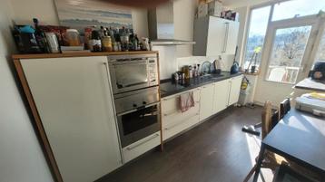 Free Kitchen (Except Induction Plate & Dishwasher)