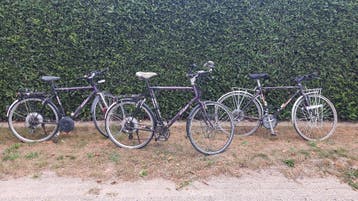 gratis 3x Giant Expedition