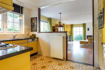 Plavuizen, Mexicaans restant ongeveer 1m2.