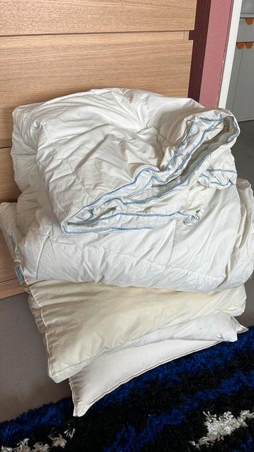 3 kussens en 1 grote deken - GRATIS