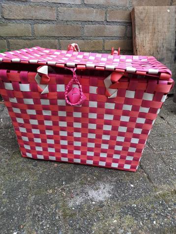 Fietsmand meisje gratis  op  te halen