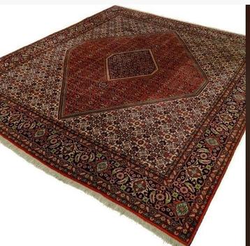 Gratis handgeknoopt Perzisch Bidjar tapijt Iran (294x249cm)