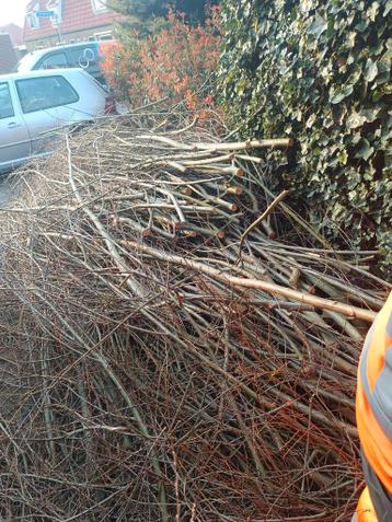 Gratis wilgentakken voor decoratie of tuin