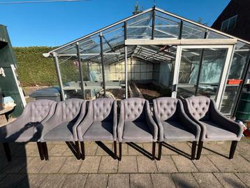 Set van 6 grijze gestoffeerde stoelen