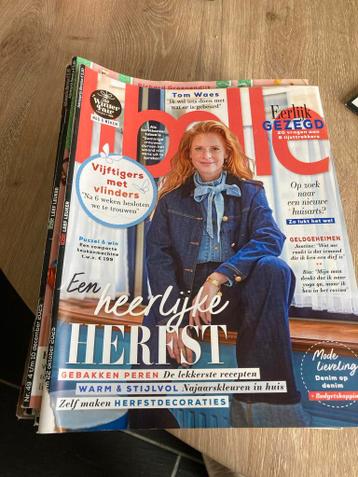 Gratis: Stapel Libelles en Margrieten (2025/2026)