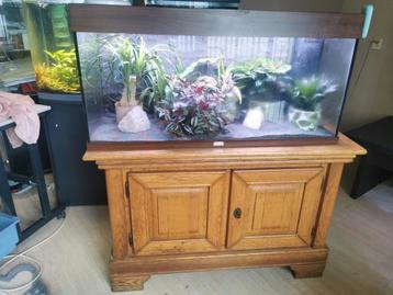 Kast met aquarium gratis af te halen zonder planten