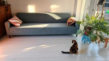 Gratis bankstel 240cm