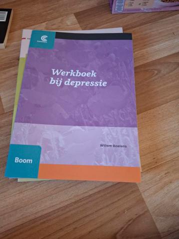 Werkboek bij depressie - Willem Boelens