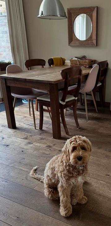 Gratis eettafel met 6 stoelen