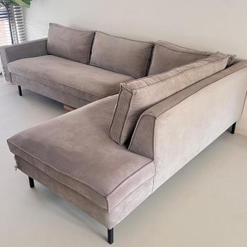 Grijze grote ribstof bank