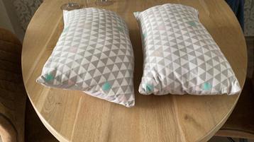 Leuke gratis kussentjes  met rits