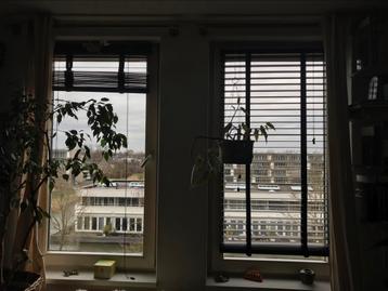 Vier Jaloezieën (breedte 80, lengte 180), kleur zwart