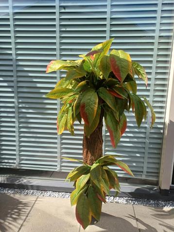 Kunstplant gratis ophalen