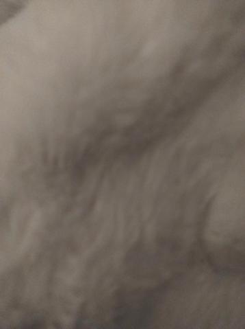 2witte 1roestkleur plaids en 1wit vloer kleed*Rosetta*