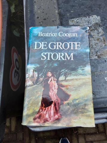 De Grote Storm - Beatrice Coogan