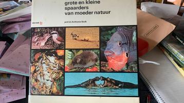 Grote en kleine spaarders van moeder natuur