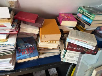 Grote partij boeken: thrillers, romans, kookboeken en meer