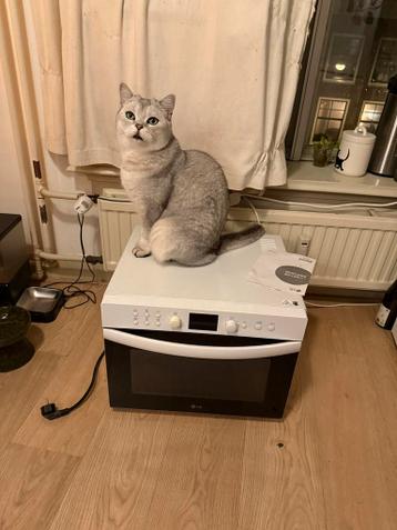 LG Oven (kat niet inbegrepen)