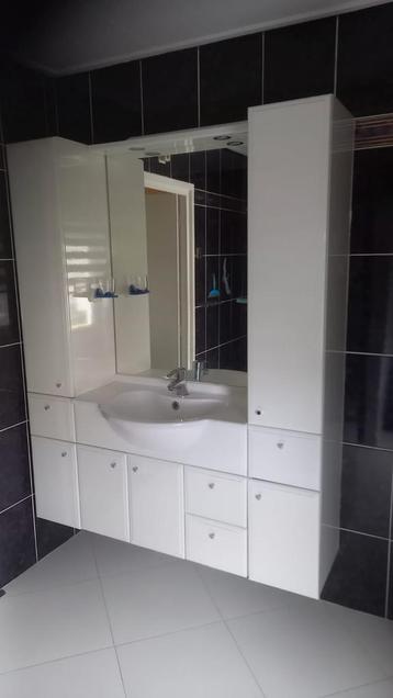 Complete badmeubelset met spiegelkast en wastafel