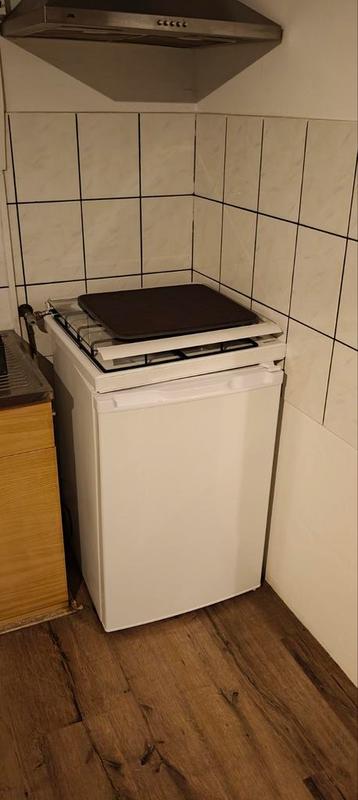 Ikea Lagan koelkast met vriesvak