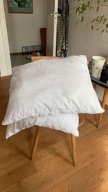 Twee hoofdkussens HEMA