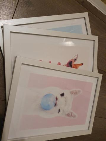 3 fotolijsten met dierenprints