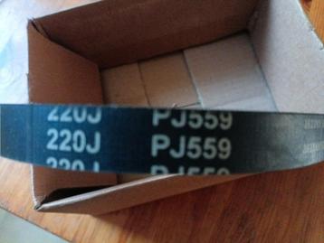 V-snaar 7 ribben PJ559