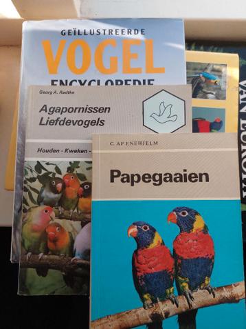 Natuur boeken papegaaien, vogels, edelstenen en planten