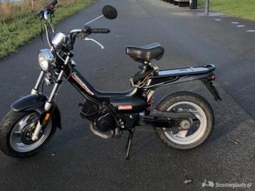 tomos youngster zonder kenteken