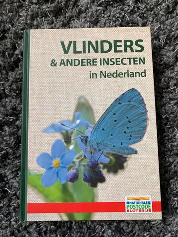 Vlinders & andere insecten in Nederland