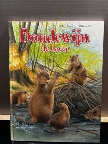 Boudewijn de bever (advr 162)