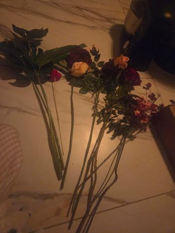 Grote lange bos nep bloemen en bladeren.. ruilen